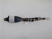 藏品(臺灣藍鵲)的圖片